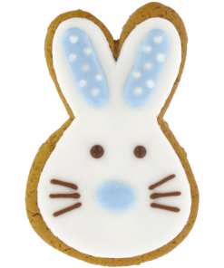 Hand-iced gingerbread rabbit biscuit with sugarpaste background and detailed icing on the face and ears