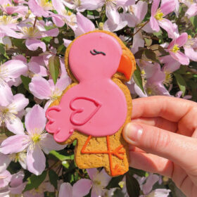 Flamingo Biscuit Gift Box