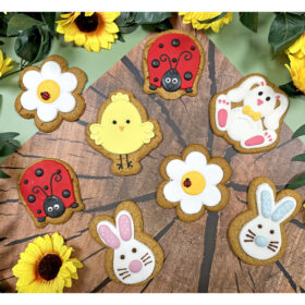Countryside Friends Party Pack