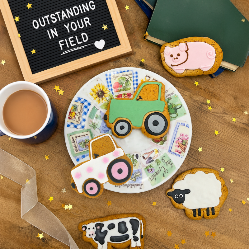 Farm-themed hand-iced biscuits including tractor, sheep, pig and cow designs beside an "Outstanding in Your Field" sign, ideal for exam success celebrations.